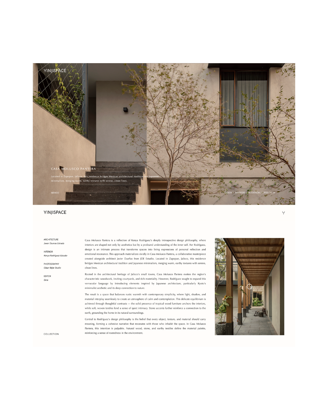 Casa Molusco Pantera