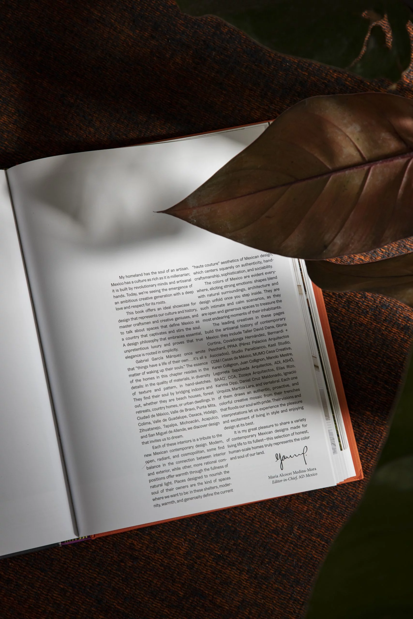 THE MOST BEAUTIFUL ROOMS